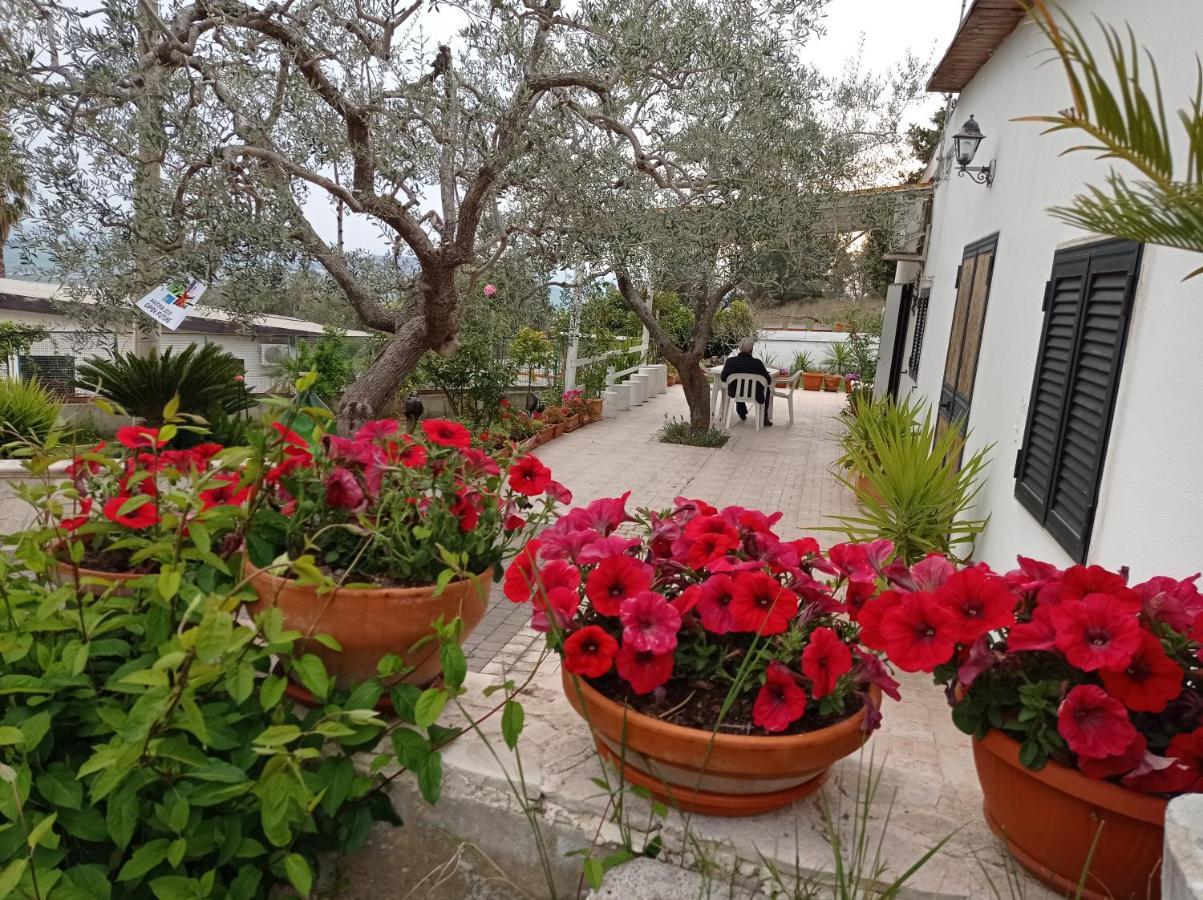 Il Corbezzolo Villa Matera Ngoại thất bức ảnh